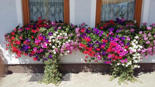 Bodendorf House | Haus Edlinger inclusive Murau Sommer Gäste Card