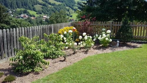Bodendorf House | Haus Edlinger inclusive Murau Sommer Gäste Card