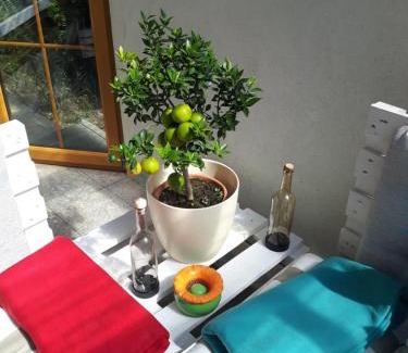 Napplach Apartment | Haus Elisabeth