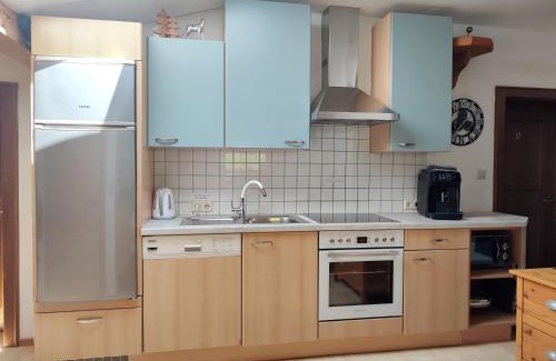 Mittersill Apartment | Haus Enzian