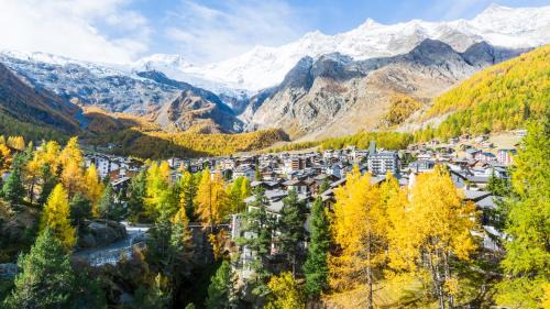 Saas-Fee Apartment | Haus Holiday