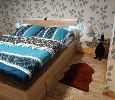Stapelburg Apartment | Haus Luise