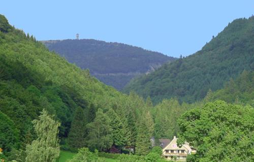 Brandenberg-Fahl Apartment | Haus Maria