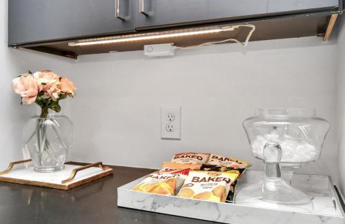 Braeswood Place Apartment | Haus of Blues-NRG Stadium-TX Med Center-Private Parking
