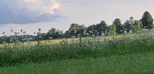 Unterpremstaetten Bed & Breakfast | Haus Steirer am Kaiserwald