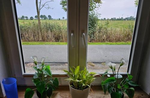 Bielenberg House | Haus Wallapampa im Grünen entspannen