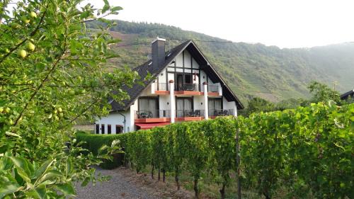 Ernst House | Haus Weingarten APPARTEMENTS-ZIMMER
