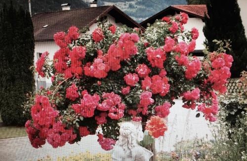 Vandans House | Haus Zudrell