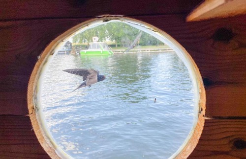 Dargun Boat Rental | Hausfloßvermietung auf der Peene am Kummerower See in Mecklenburg Vorpommern 15 PS