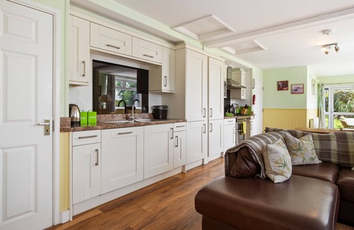 Tan-y-groes House | Hedgerow at Gorslwyd - Sound Retreat