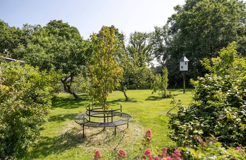 Tan-y-groes House | Hedgerow at Gorslwyd - Sound Retreat
