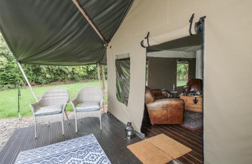 Bewdley House | Hedgerow