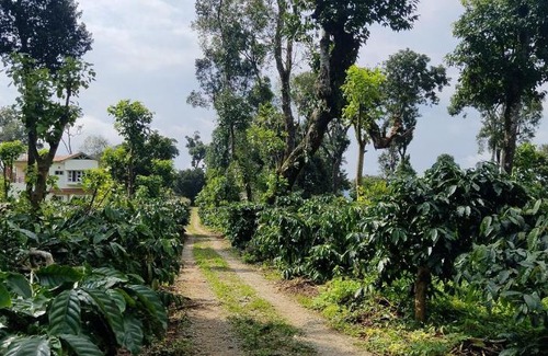 Madikeri House | Heights Farm Stay - Coffee Estate Stay