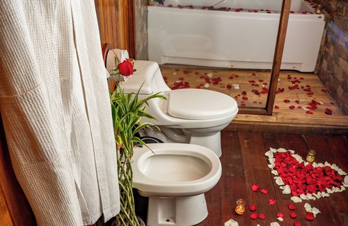 Canelos Hotel | Heimatlos Rainforest Lodge