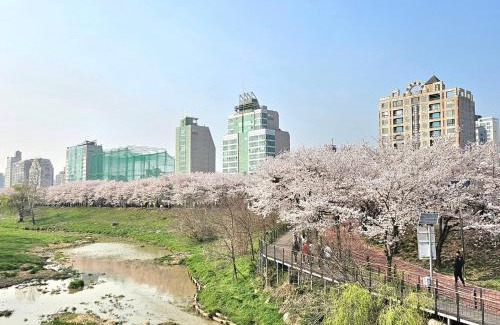 Seongnae-dong Apartment | Hej Hi Home II