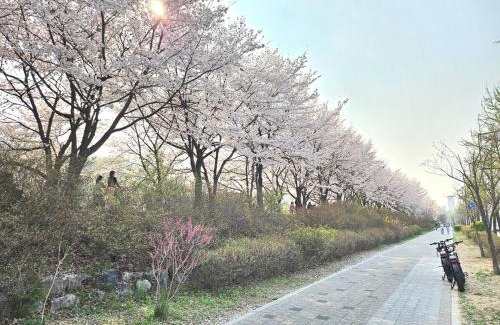 Seongnae-dong Apartment | Hej hi home#Lotte World Jamsil#Lotte Tower,#KSPO Dome#Sports Complex#JYP#COEX#Asan Medical Center