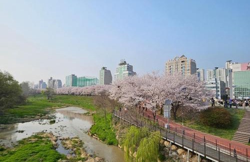Seongnae-dong Apartment | Hej hi home#Lotte World Jamsil#Lotte Tower,#KSPO Dome#Sports Complex#JYP#COEX#Asan Medical Center