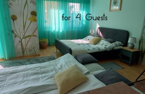Hajduszoboszlo Apartment | Heleniums Apartment