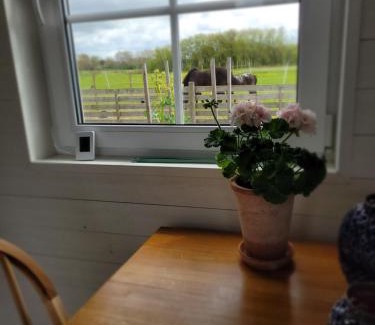 Jonstorp House | Helgas stuga i Jonstorp