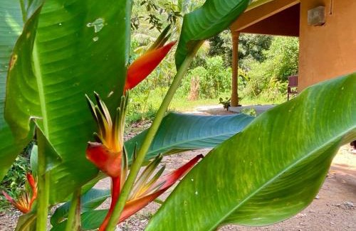 Kathaluwa House | Hello Homestay