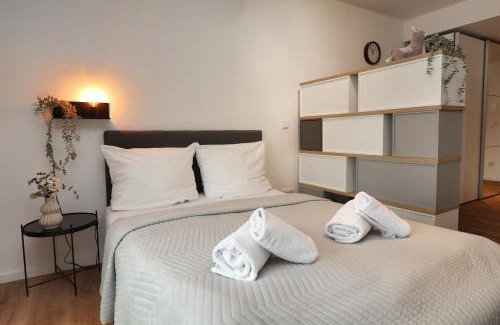 Mainz-Bingen Apartment | helloYOU Apartments