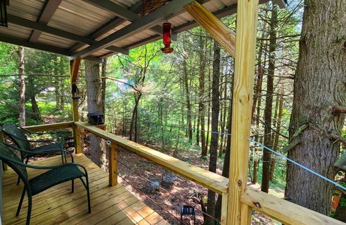Coalmont House | Hemlock Cabin at Ranger Creek