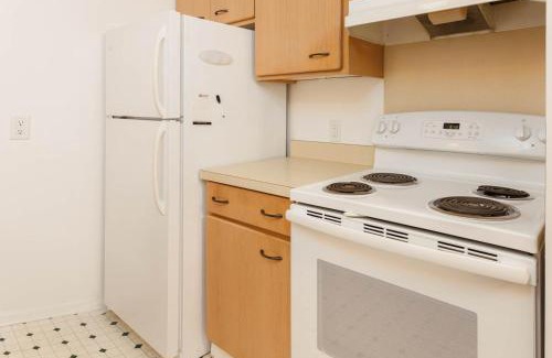 Druid Hills Apartment | Hendo Hideaway Unit B 2bed,1 bath