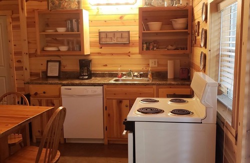 Sulphur House | Henson 2: Rustic 2 Bedroom Cabin surrounded by trees.