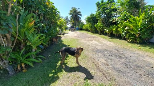 Matavera Apartment | Herons Reef Holiday Apartments