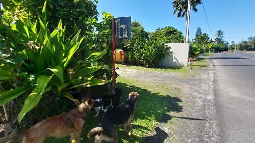 Matavera Apartment | Herons Reef Holiday Apartments
