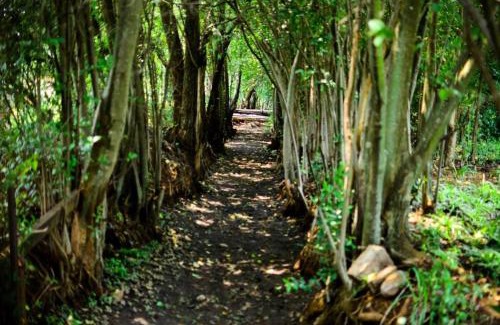 Magaliesberg Hotel | Hibon Lodge