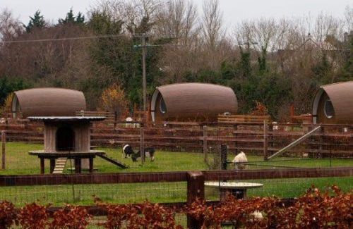 Malahide House | Hidden Acres- Luxury Glamping Pod Mint
