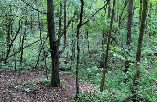 Kimball RV Rental | Hidden forest campground in South Pittsburg