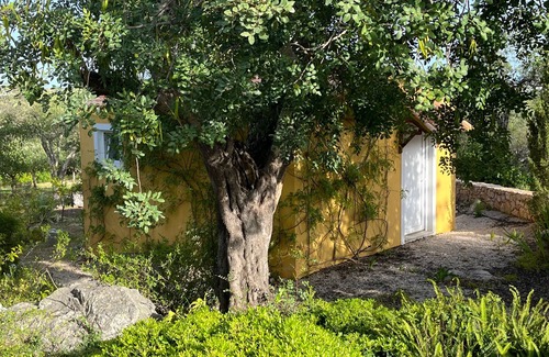 Santo Estevao Villa | Hidden Gem with complete privacy.