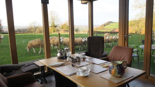 The Bage Bed & Breakfast | Highfield