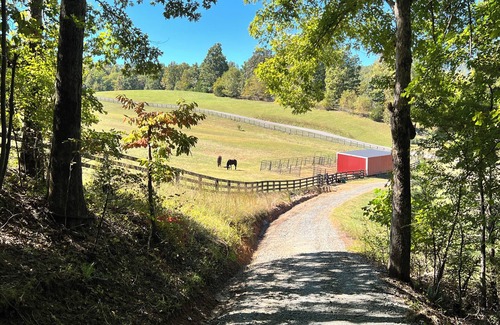Rutherfordton Cottage | Hilltop Private Tiny Chalet on a Large Farm. Tryon Equestrian. Starlink WiFi.