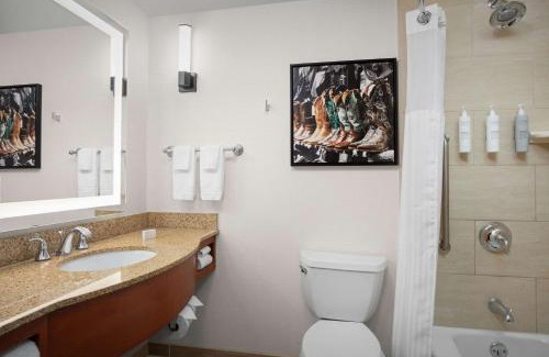 Fort Worth Hotel | Hilton Garden Inn Fort Worth Medical Center