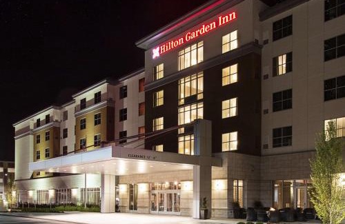 Rochester Hotel | Hilton Garden Inn Rochester - University & Medical Center