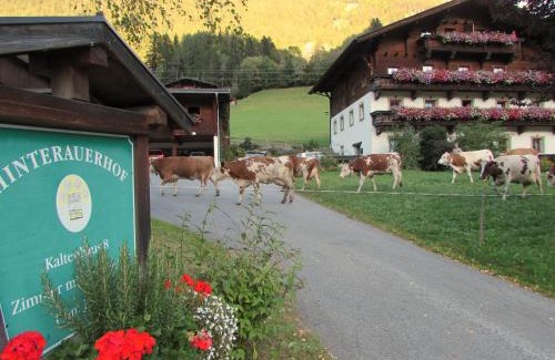 Matrei in Osttirol Apartment | Hinterauerhof