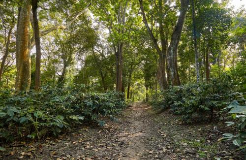 Belur House | Hirvate Estate/Crawford House