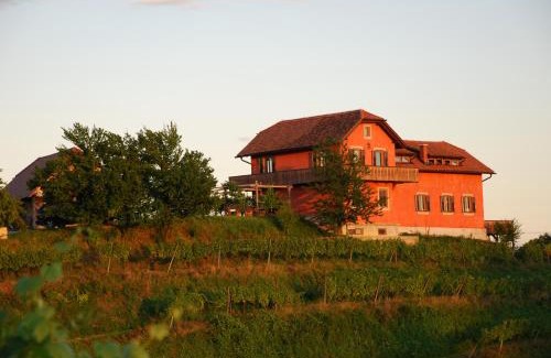 Videm House | Hisa Vina