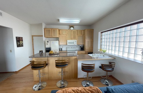 Montgomery House | Historic 1893 Brewhouse Solarium Loft – Sun‑Drenched Mid‑Century Modern Retreat