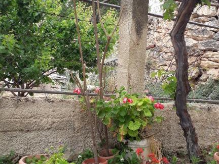 Bethlehem Apartment | Historic apartment home in Bethlehem