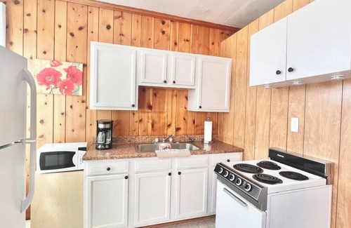 Dailey Apartment | Historic DTC Lodge #7 - Cozy 1 Bedroom with Kitchenette