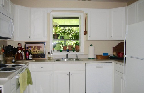 West Side Historic District Cottage | Historic Hendersonville NC - Walk to Town - Mountain Get Away