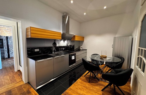 Freiburg im Breisgau Apartment | Historical Luxury Homes - Luxus Loft Wallstreet II
