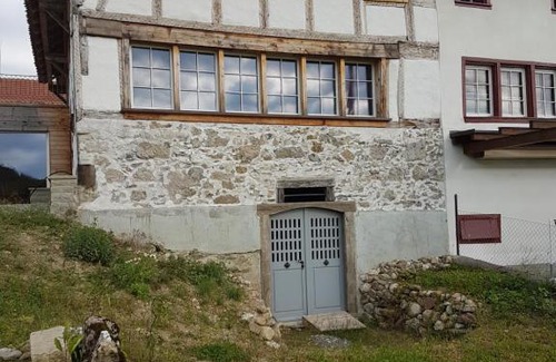 Horgen District House | Historisches Doppel - Riegelbauernhaus