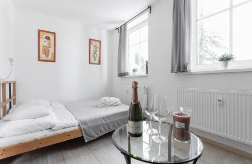 Rokytnice nad Jizerou Apartment | HK apartments by Správa ubytka