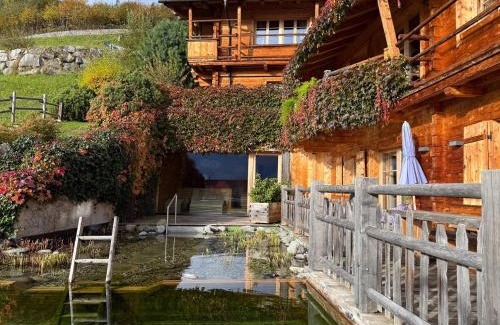Aschau Im Zillertal Apartment | HochLeger - Chalet Refugium am Berg