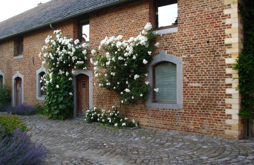 Millen House | Hof van Eggertingen nr. 8